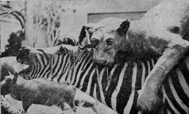 Колесницы в пустыне - image31.png