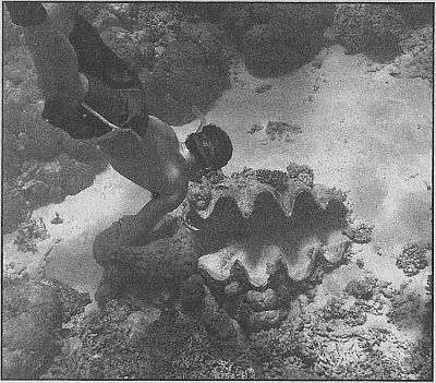 100 великих рекордов живой природы - i_036.jpg