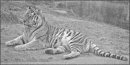 100 великих рекордов живой природы - i_086.jpg