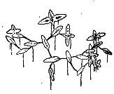 Школа выживания. Как избежать голодной смерти - i_017.jpg