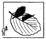 Школа выживания. Как избежать голодной смерти - i_037.jpg