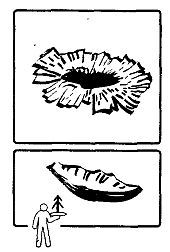 Школа выживания. Как избежать голодной смерти - i_051.jpg