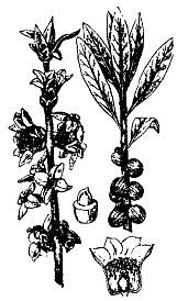 Школа выживания. Как избежать голодной смерти - i_092.jpg