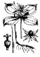 Школа выживания. Как избежать голодной смерти - i_093.jpg