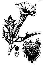 Школа выживания. Как избежать голодной смерти - i_094.jpg