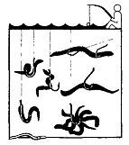 Школа выживания. Как избежать голодной смерти - i_137.jpg