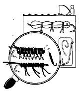 Школа выживания. Как избежать голодной смерти - i_142.jpg