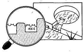 Школа выживания. Как избежать голодной смерти - i_201.jpg