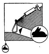 Школа выживания. Как избежать голодной смерти - i_202.jpg