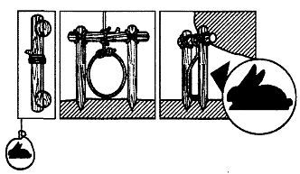 Школа выживания. Как избежать голодной смерти - i_203.jpg