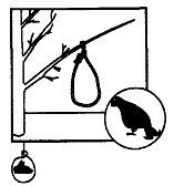 Школа выживания. Как избежать голодной смерти - i_205.jpg