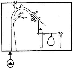 Школа выживания. Как избежать голодной смерти - i_220.jpg