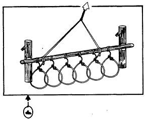 Школа выживания. Как избежать голодной смерти - i_222.jpg