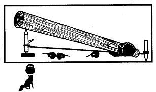 Школа выживания. Как избежать голодной смерти - i_226.jpg