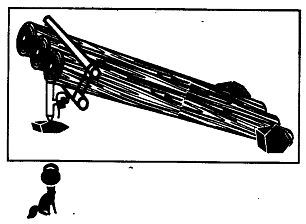Школа выживания. Как избежать голодной смерти - i_227.jpg