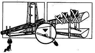 Школа выживания. Как избежать голодной смерти - i_228.jpg