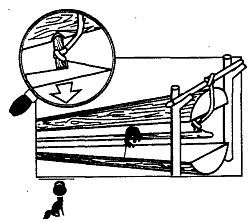 Школа выживания. Как избежать голодной смерти - i_229.jpg