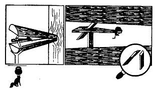 Школа выживания. Как избежать голодной смерти - i_230.jpg