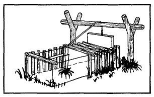 Школа выживания. Как избежать голодной смерти - i_244.jpg