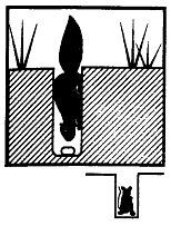 Школа выживания. Как избежать голодной смерти - i_246.jpg