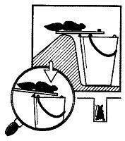 Школа выживания. Как избежать голодной смерти - i_248.jpg