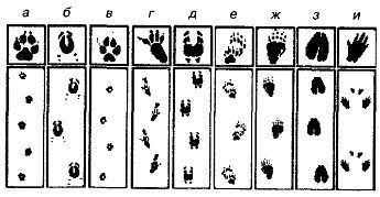 Школа выживания. Как избежать голодной смерти - i_249.jpg