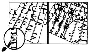 Школа выживания. Как избежать голодной смерти - i_291.jpg