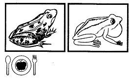 Школа выживания. Как избежать голодной смерти - i_295.jpg