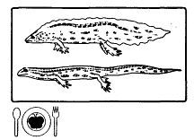 Школа выживания. Как избежать голодной смерти - i_297.jpg