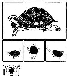 Школа выживания. Как избежать голодной смерти - i_298.jpg