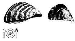 Школа выживания. Как избежать голодной смерти - i_301.jpg