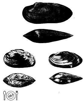 Школа выживания. Как избежать голодной смерти - i_306.jpg