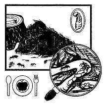 Школа выживания. Как избежать голодной смерти - i_315.jpg