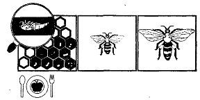 Школа выживания. Как избежать голодной смерти - i_318.jpg