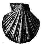 Школа выживания. Как избежать голодной смерти - i_339.jpg