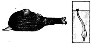 Школа выживания. Как избежать голодной смерти - i_342.jpg