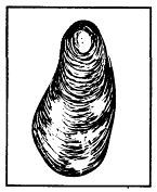 Школа выживания. Как избежать голодной смерти - i_351.jpg