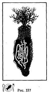 Школа выживания. Как избежать голодной смерти - i_363.jpg