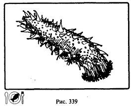 Школа выживания. Как избежать голодной смерти - i_365.jpg