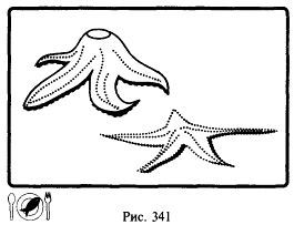 Школа выживания. Как избежать голодной смерти - i_367.jpg