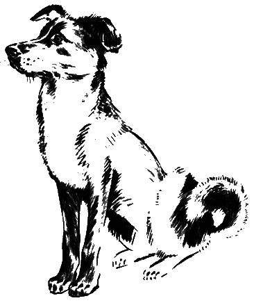 О чем лают собаки - pic_10.png