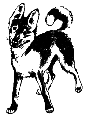 О чем лают собаки - pic_19.png