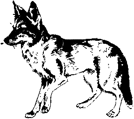 О чем лают собаки - pic_6.png