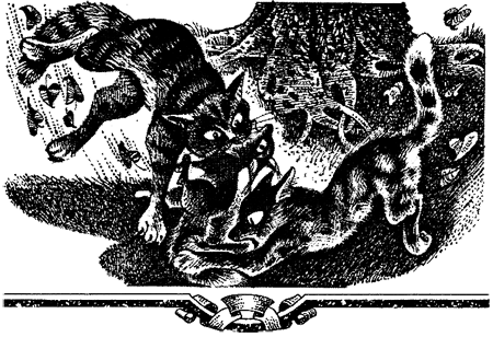 Миссия Огнезвезда. Книга 2. Возрождение - i_004.png