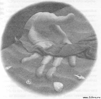 Заир - image008.jpg