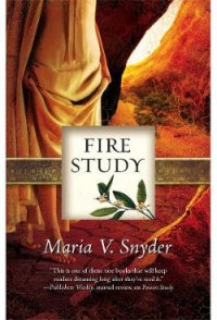 Испытание огнем - Снайдер Мария