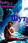 Серия книг Шут