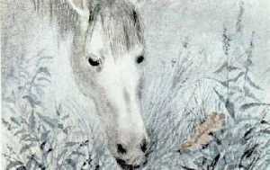 Всё-всё-всё о Ёжике - e_06.jpg