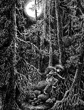 Рони, дочь разбойника - i_028.jpg