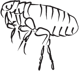 Самая нужная книга для самого нужного места. 1000 невероятных фактов, которых вы не знали - i_012.png